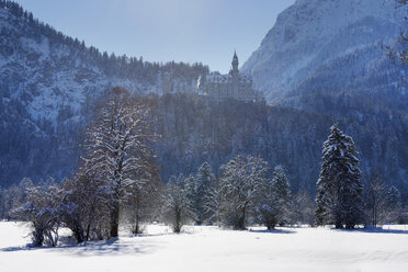 Deutschland, Bayern, Blick auf Schloss Neuschwanstein - SIEF004127