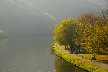 Germany, Rhineland-Palatinate, Moselle valley, Moselle river, bikeway near Bernkastel-Kues, autumnal morning mist - WG000040