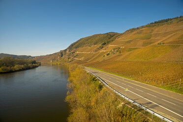 Deutschland, Rheinland-Pfalz, Moseltal, Mosel, Weinberge bei Traben-Trarbach - WG000061