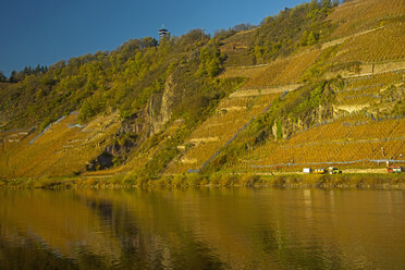 Germany, Rhineland-Palatinate, Moselle valley, vineyards near Puenderich - WG000043