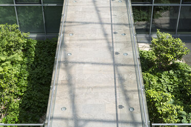 Germany, Hannover, Interior of greenhouse - KFF000071