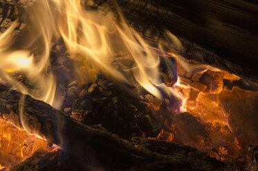 Burning campfire at night - CRF002450