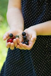 Deutschland, Baden Württemberg, Mädchen hält schwarze und rote Johannisbeeren - LVF000178