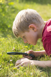 Germany, Bavaria, Boy looking through magnifying glass in garden - SARF000077