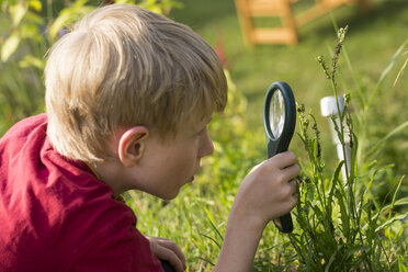 Deutschland, Bayern, Junge schaut durch ein Vergrößerungsglas im Garten - SARF000076