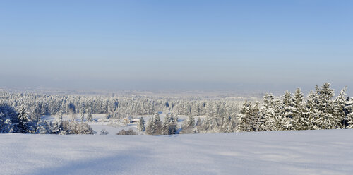 Deutschland, Blick auf einen schneebedeckten Baum im Winter - LB000211