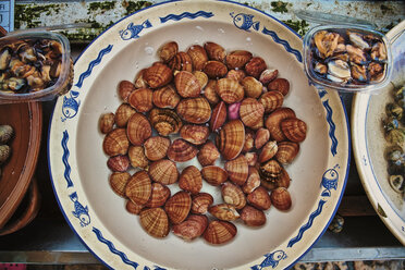 Italien, Apulien, Frische Muscheln auf dem Fischmarkt - DIK000051