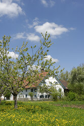 Deutschland, Ansicht des Bauernhauses Museum Jexhof - LB000182