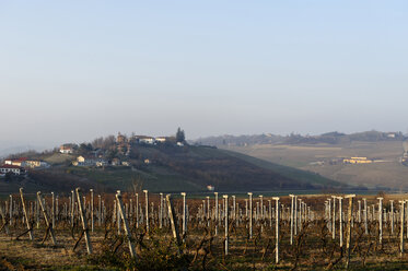 Italien, Blick auf Weinberg und Haus im Hintergrund - LB000171