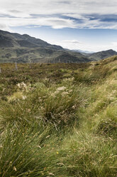 Schottland, Blick auf die schottische Landschaft vom Aussichtspunkt Suidhe - SBDF000134