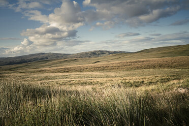 Scotland, View of landscape near Loch Brittle - SBDF000127