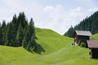 Österreich, Blick auf Berge und Hütten im Montafon - FLF000342