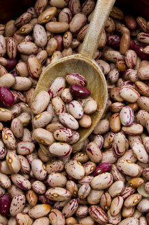 Borlotti-Bohnen mit Holzlöffel, Nahaufnahme - LVF000172