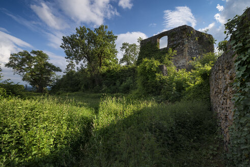 Deutschland, Baden Württemberg, Konstanz, Blick auf Schloss Mögdeberg - EL000349