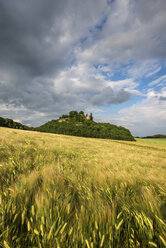 Deutschland, Baden Württemberg, Konstanz, Blick auf Gerstenfeld in Hegauer Landschaft - ELF000350