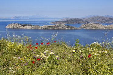 Türkei, Blick auf Blumen an der Küste - SIEF004199