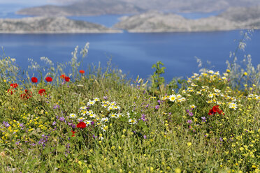 Türkei, Blick auf Blumen an der Küste - SIEF004200