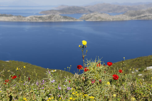Türkei, Blick auf Blumen an der Küste - SIEF004201