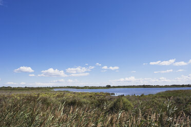 France, Camargue, View of marshy landscapes at Nature Reserve, Parc Naturel Regional de Camargue - GW002345
