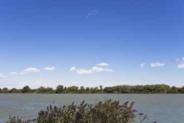 Frankreich, Camargue, Blick auf Petite-Rhone im Rhone-Delta - GW002344