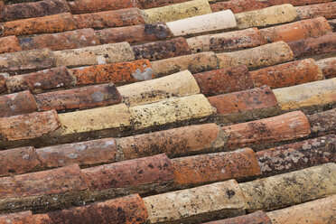 Portugal, Lagos, Old bricks roof, close up - WDF001846