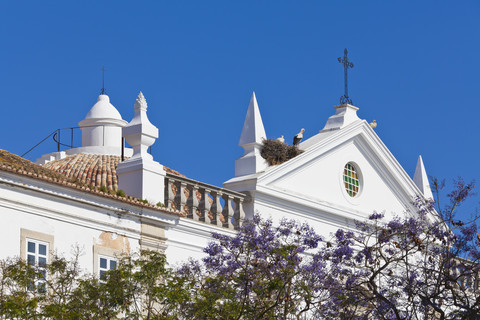 Portugal, Faro, Störche in einem Nest auf der Misericordia-Kirche, lizenzfreies Stockfoto