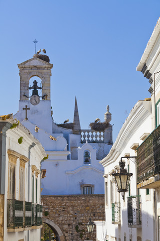 Portugal, Faro, Störche in einem Vogelnest auf dem Arco da Vila, lizenzfreies Stockfoto