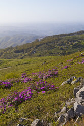 Portugal, Algarve, Blick auf die Serra de Monchique - WDF001805