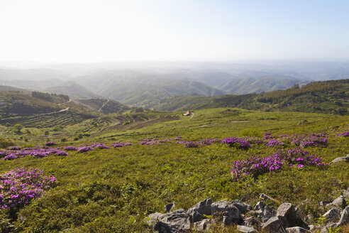 Portugal, Algarve, Blick auf die Serra de Monchique - WDF001804