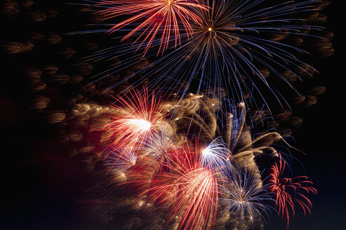 Germany, North Rhine Westphalia, Duesseldorf, Fireworks exploding in sky - KJF000238