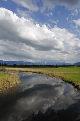 Deutschland, Ansicht einer Landschaft mit Häusern im Hintergrund, bei Uffing am Staffelsee - LB000237