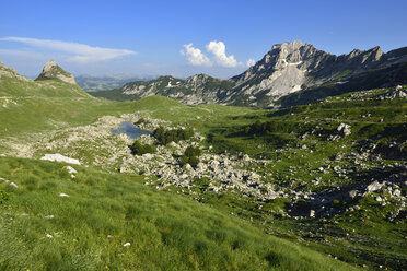 Montenegro, Blick auf den Durmitor-Nationalpark - ES000468