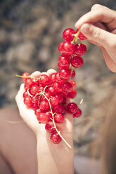Germany, Bavaria, Girl holding bunch of red currants - SARF000098