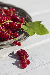 Deutschland, Bayern, Rote Johannisbeeren im Korb - SARF000093