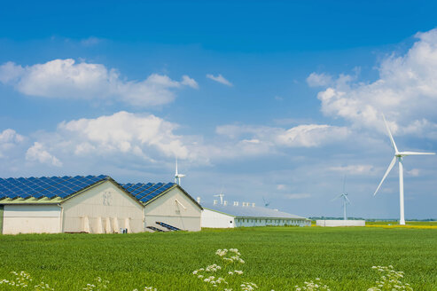 Deutschland, Schleswig-Holstein, Blick auf Solarmodul auf Hausdach - MJF000334