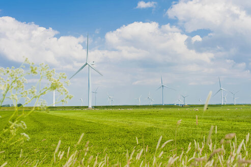 Deutschland, Schleswig-Holstein, Blick auf eine Windkraftanlage auf einem Feld - MJF000331