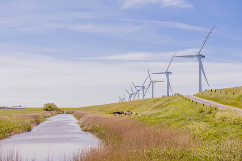 Deutschland, Schleswig-Holstein, Blick auf eine Windkraftanlage auf einem Feld, lizenzfreies Stockfoto