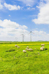 Germany, Schleswig-Holstein, View of sheep grazing in field and wind turbine in background - MJF000321