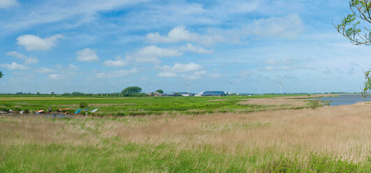 Deutschland, Schleswig Holstein, Landschaftsansicht mit Windkraftanlage im Hintergrund - MJF000309