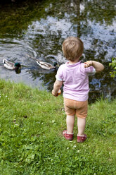 Germany, Kiel, girl stands at a pond feeding ducks - JFEF000170