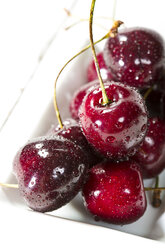 Cherries in plate, close up - MAEF007191