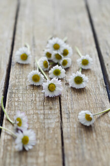 Daisies on wooden table, close up - CZ000030