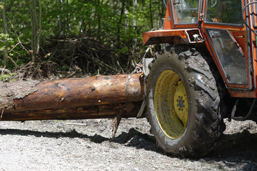Germany, Tractor with felled tree - LB000241