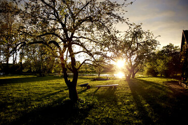 Deutschland, Schleswig Holstein, Gartenansicht bei Sonnenuntergang - TKF000139