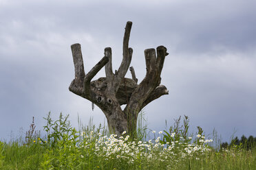 Österreich, Kärnten, Ansicht der Land Art-Skulptur - SIE004252