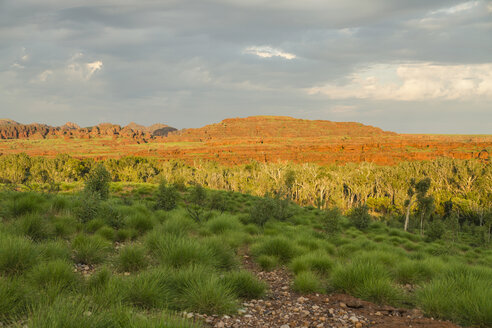 Australien, Westaustralien, Blick auf die Landschaft bei Kimberley - MBEF000669