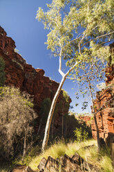 Australien, Blick auf die Hancock-Schlucht im Karijini-Nationalpark - MBEF000677