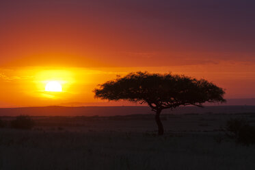 Afrika, Kenia, Blick auf das Maasai Mara National Reserve bei Sonnenuntergang - CB000166