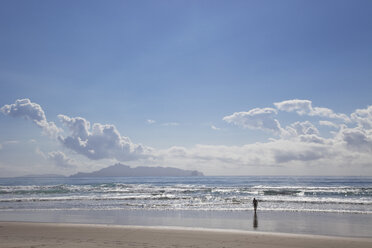 New Zealand, View of Taranga Island - GWF002370