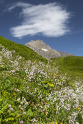 Österreich, Mooserboden mit Gipfel Kitzsteinhorn - STSF000091